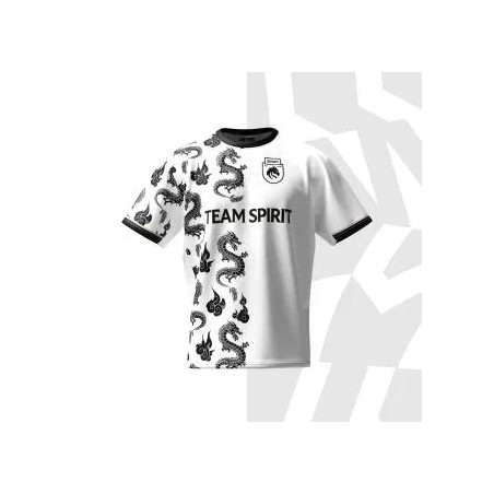 Value Edition Team Spirit 2024 Pro Jersey White Available Now